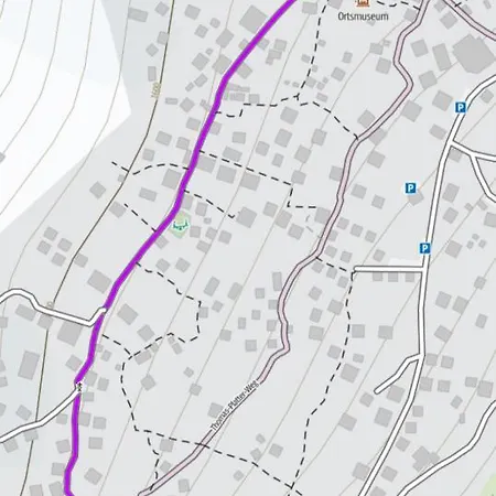Panorama At Haus Waldheim Nr. 11 *