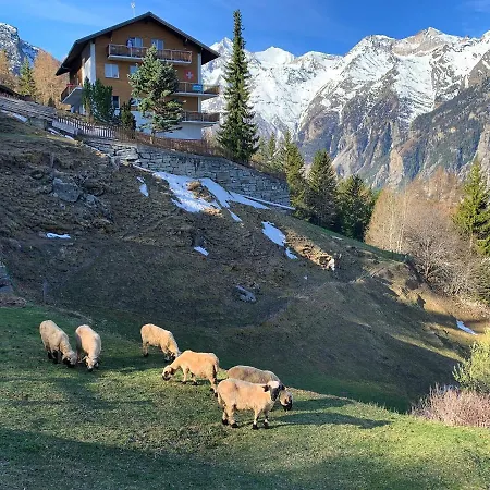 Panorama At Haus Waldheim Nr. 11 * Grächen