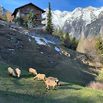 Panorama At Haus Waldheim Nr. 11 * Grächen